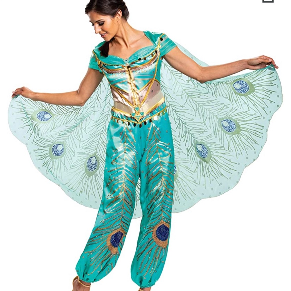 Princess Jasmine Costume
